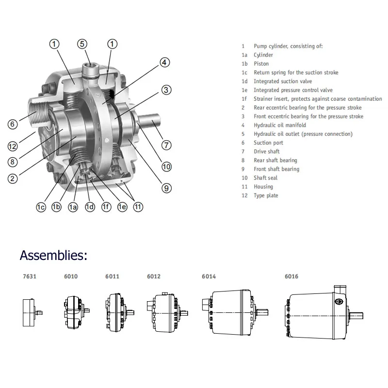 HAWE Radial Piston Pump Type R & RG Series(Images 3) radial piston pump head 2.webp